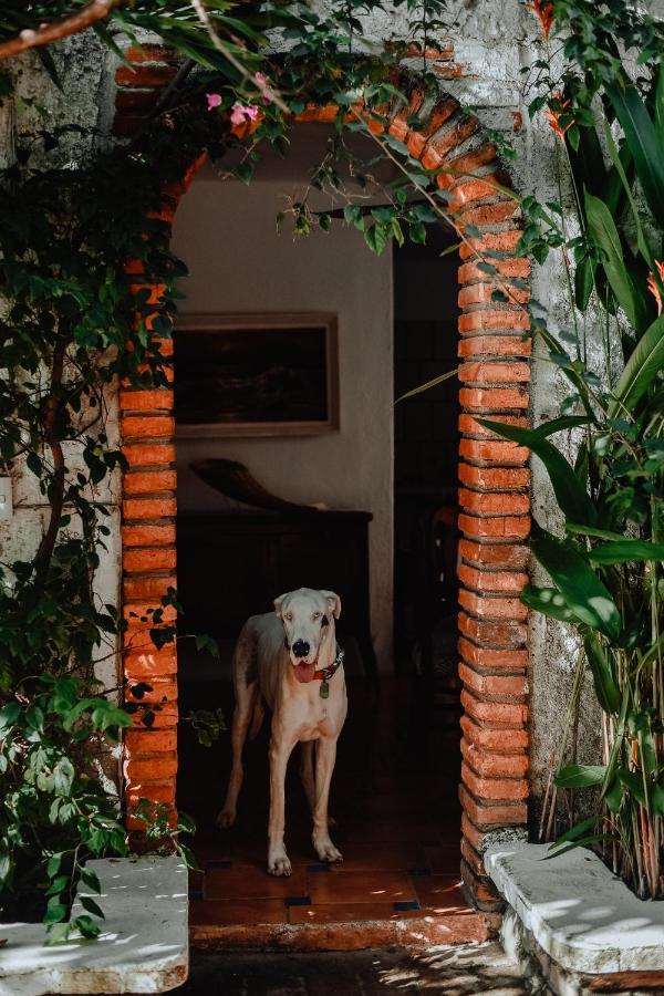 Hosteria Chata Adults Only Ло-де-Маркос Экстерьер фото